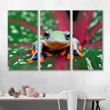 Tree Frog Canvas Print №3527