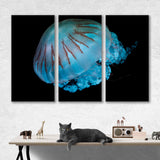 Jellyfish Canvas Print №3529