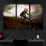 Mountain Bike Canvas Print №1012
