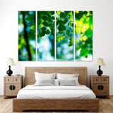Green Leaves Canvas Print №7022