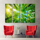 Spherical Forest Panorama Canvas Print №7015