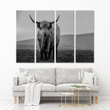 Moody Black And White Cow Canvas Print №3546