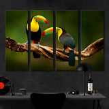 Toucans, Costa Rica Wildlife Canvas Print №4024