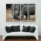 White Rhinos Canvas Print №3542