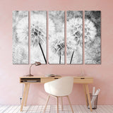 Black and White Dandelion Flower Canvas Print №7014