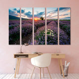 lavender Field  Canvas Print №4051