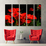 Red Poppy in Dark Background Canvas Print №7054