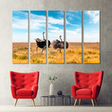 Ostriches Canvas Print №3556