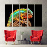 Chameleon Reptile Canvas Print №3502