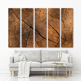 Texture Of An Old Tree Canvas Print №0034