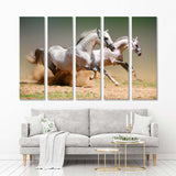 Arabian Horses Canvas Print №3500
