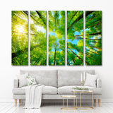 Spherical Forest Panorama Canvas Print №7015