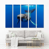 Humpback Whale Calf Canvas Print №3552