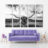 Texas Longhorn Cow Canvas Print №3511