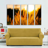 Abstract Grass on Sunset Background Canvas Print №7026