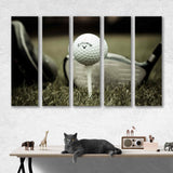 Golf Clubs and Golf Balls Canvas Print №1004