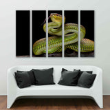 Green Goldy Snake - Canvas Print №3503