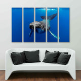 Humpback Whale Pacific Ocean Canvas Print №3522